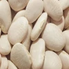 Large White Lima Bean