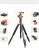 Import Lightweight portable flexible mini smart phone mobile cell phone Hiking support selfie live streaming bracket Tripod from China