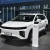 Import Livan 9 Leading Edition Geely Automotive Pure Electric SUV from China