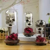 Luxuriant Dried Flowers Stabilized Single Eternal FlowersPreserved Decorative Glass  Flowers In Glass Dome