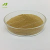 Male Health Products Oyster Meat Extract Powder Oyster Peptide