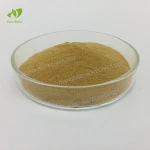 Male Health Products Oyster Meat Extract Powder Oyster Peptide