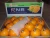 Import Mandarin "Kinnow" Orange, Citrus fruit from Pakistan from Pakistan