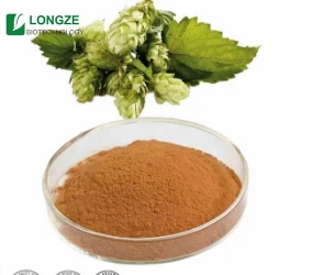 Manufacture free sample Hop extract