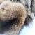 Import Manufacturer Directly Supplies High Quality Animal Skin Materials Real Raccoon Fur/Pelt from China