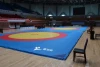 Martial Arts, high quality , durableWrestling Mat Cover for competition