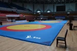 Martial Arts, high quality , durableWrestling Mat Cover for competition