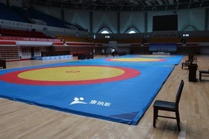 Martial Arts, high quality , durableWrestling Mat Cover for competition