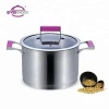 Masterclass premium stainless steel cookware cooking pot