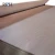 Import melamine board/plywood/mdf decorative wall panel/laminated hardboard from China