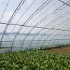 Multifunctional Film Agricultural Greenhouse Plastic Film