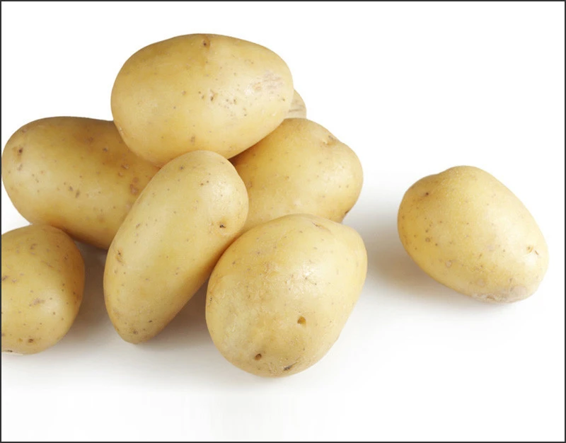 Natural Fresh Potato Price Per Ton