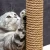 Import Natural Jute Twisted Rope sisal manila Recyclable packaging rope DIY decoration Cord twine from China