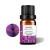 Import natural Lavender oil essential Oil for body massage flavors medicine from China