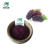 100% Natural Water Soluble Mulberry Extract  Powder