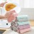 Import Nature Friendly Double Sides Coral Fleece Kitchen Tea Towels from China