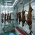 Import New Cattle SlaughterhouseProfessional Halal Style Cattle Slaughter Equipment for Sale from China