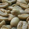 new crop coffee green bean