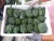 Import New crop vegetable wholesale Fresh Broccoli from China