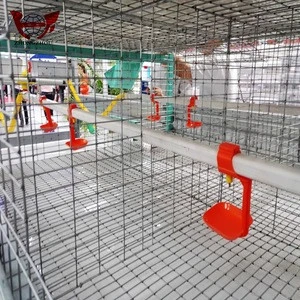 New design hot sale folding chicken cage pigeon breeding cage with cheap price