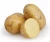 Import New harvest 2018 fresh potato from Philippines