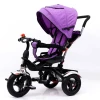 New Luxury Children Metal Frame Tricycle with Sunshade and Pushbar/3 Wheels Tricycle for Kids Children Folding Stroller