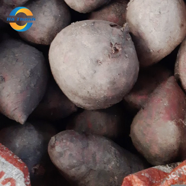 New Product 100% Natural And High Quality For Exports Fresh Buyer Purple Sweet Potato Box
