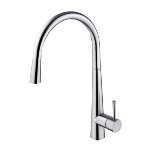 New products Single Handle Single Lever Pull Down Sprayer Spring Bar Sink pull out kitchen faucet