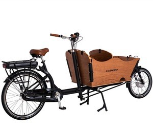 New Style 250W Front Loading Dutch Cargo Bicycle 2 Wheel Family Use Cargo Bike Electric
