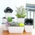 Import newest rectangle shape plant nursery home and garden decoration succulent Self Watering plants flowerpot from China