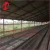 newly designed chickens feeds production galvanized animal feed manufacturing equipment poultry farm battery cages from China