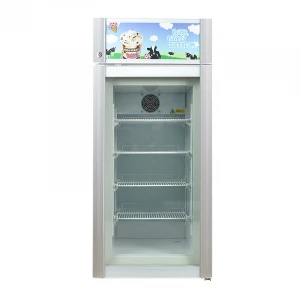 OEM Vertical  counter top commercial ice cream frozen display refrigerator freezer fridge for shop store