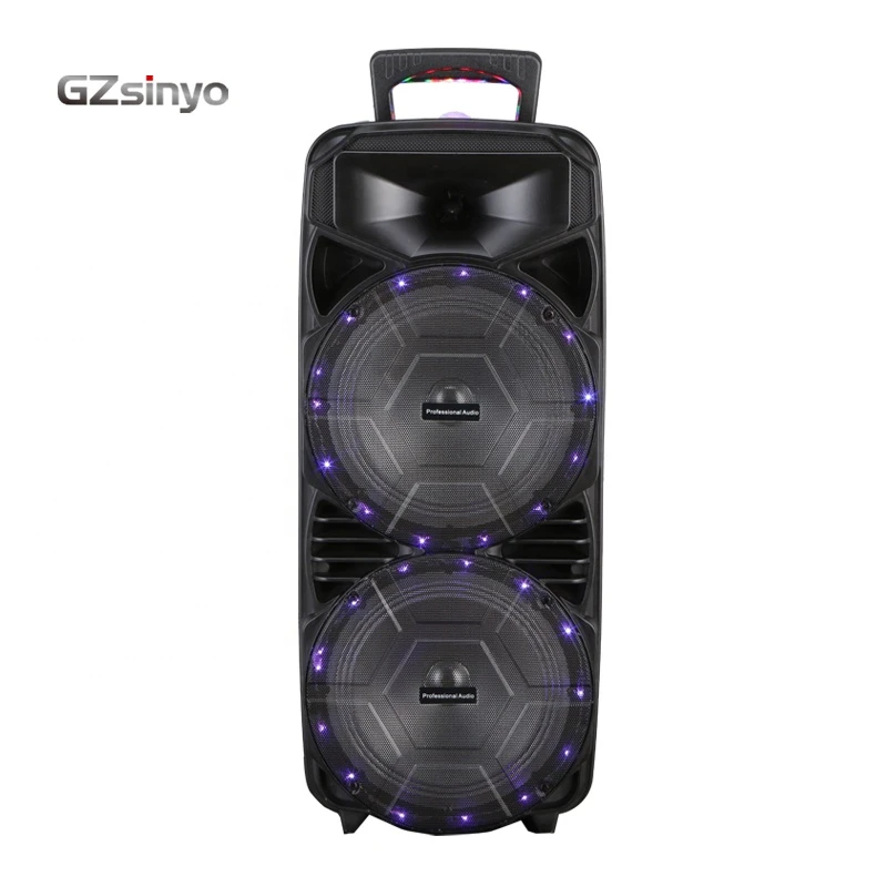 OEM/ODM hot sale blue tooth speaker double 8 inch with remote and wireless microphone