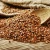 Import Organic Buckwheat from Netherlands