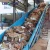 Import Paper Mill Conveyor, Waste Paper Conveyor for Paper Making Mill from China