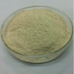 Pectinase  for Fruit/Vegetable Juice Production