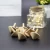 Import Perfect gift toy Spinning top toy Wooden Spinning toy for education from China