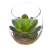 Import Plastic mini artificial succulent plant bonsai with pot for decoration from China