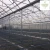 Import Poly film Roman Greenhouse for intensive agriculture from Spain
