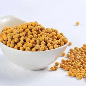 Premium Quality Soya Beans for Soybean Importers