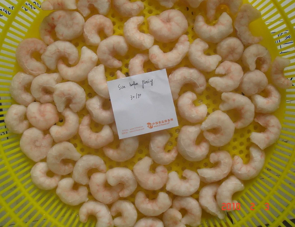 Price Shrimp Export Frozen Seafood