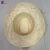 Import Promotional popular style european ladys paper straw summer fedora hats from China