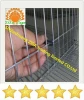 quail egg laying cages cheap price