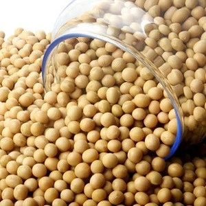 Quality NON-GMO Dried Yellow Soybean