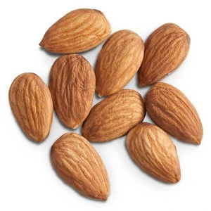 Quality organic almonds natural flavor almond nuts supplier
