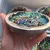 Import Rainbow Natural Bismuth Crystal Metal Mineral Crystal Stone For Home Decoration from China