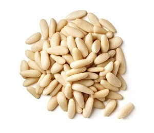 Raw and Roasted Pine Nuts