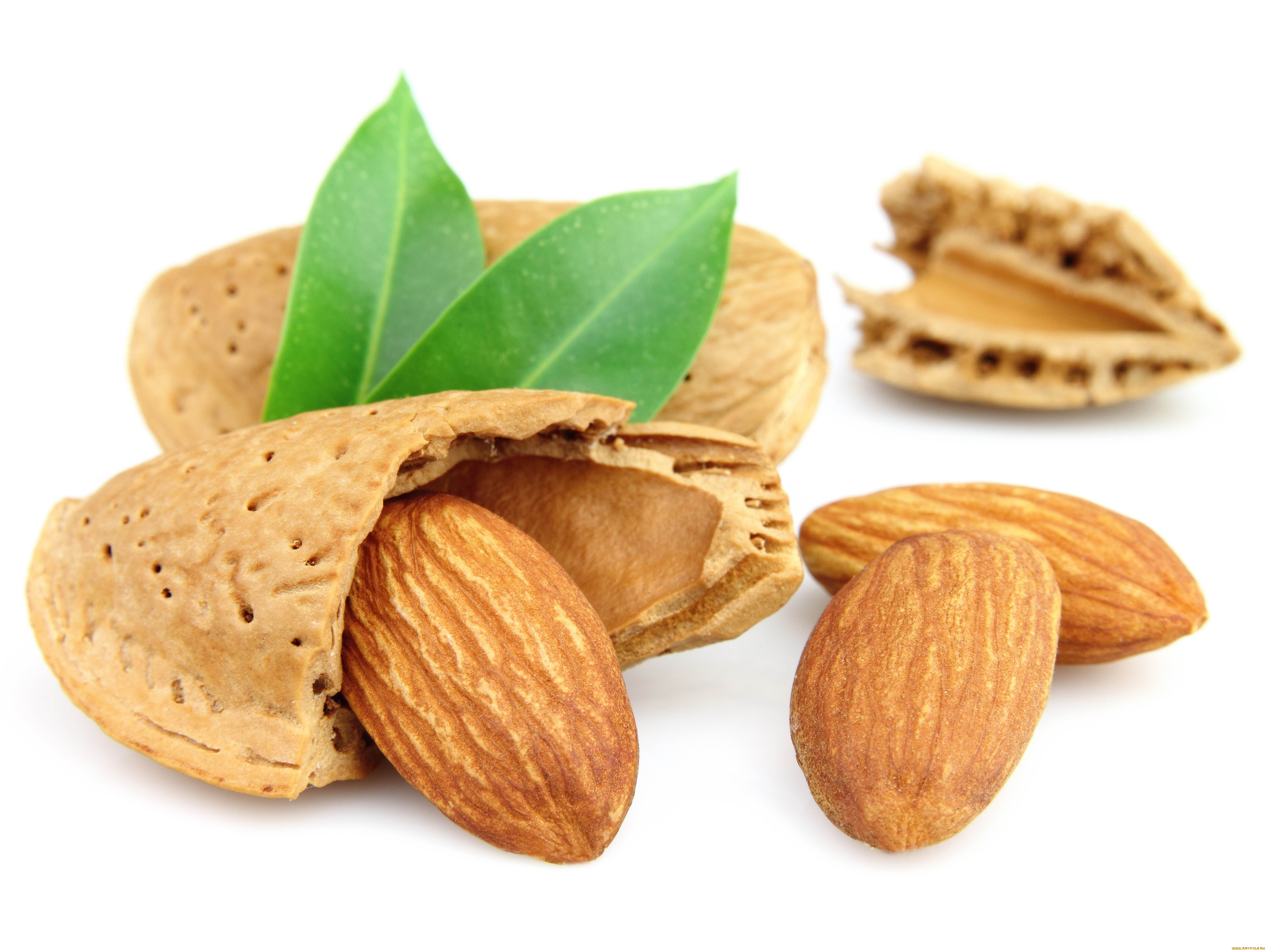 Buy Raw Sweet Almond Without Shell Handpicked Origin Wholesale Bulk ...