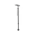 Import Rehabilitation therapy supplies NL-WS-0925 telescopic walking sticks from China