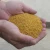 Import Rice DDGS (Distillery Dry Grain Soluble) | Corn DDGS | Animal Feed DDGS Wholesale Prices from Canada